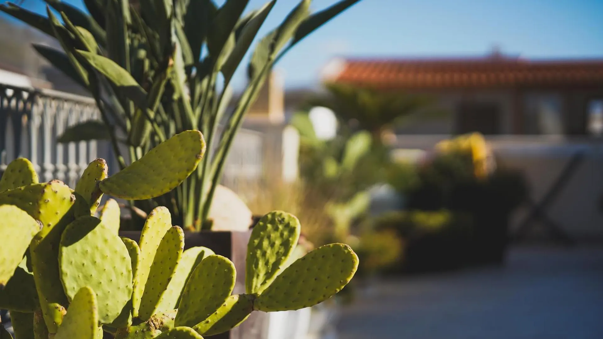 Riad Comfort Rooms San Vito Lo Capo
